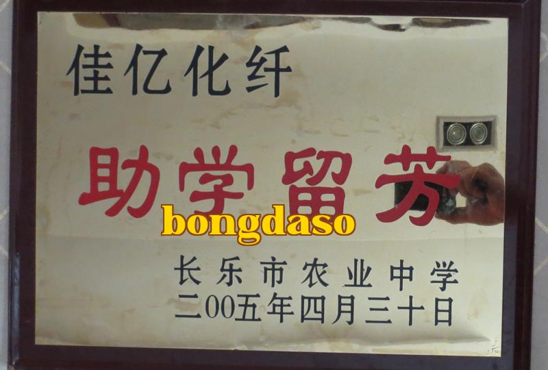 Danh hiệu 24