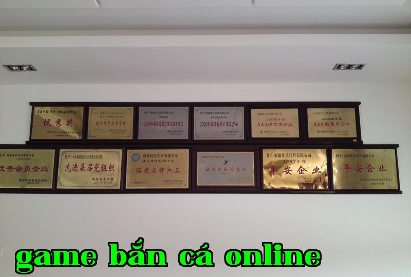 Danh hiệu 26