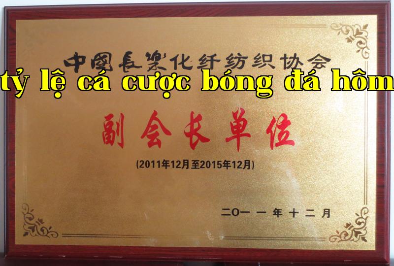 Danh hiệu 11