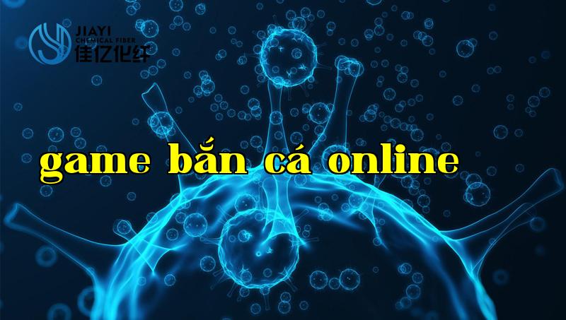 Mô tả sản phẩm 1
