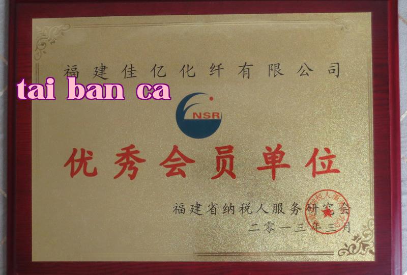 Danh hiệu 20
