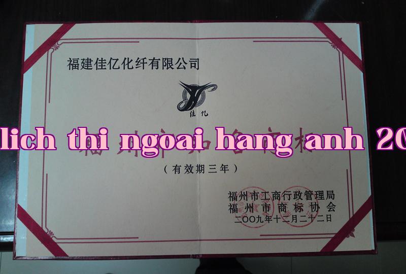 Danh hiệu 29