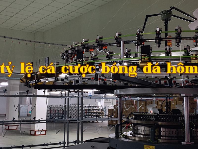 Máy dệt tròn len 1