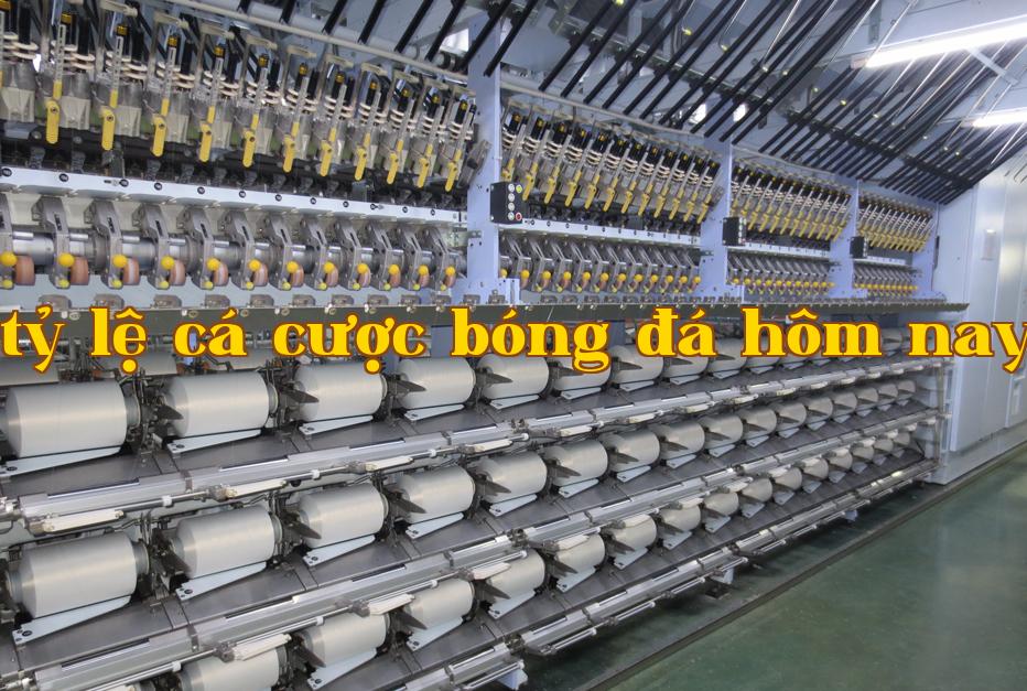 Mô tả 01