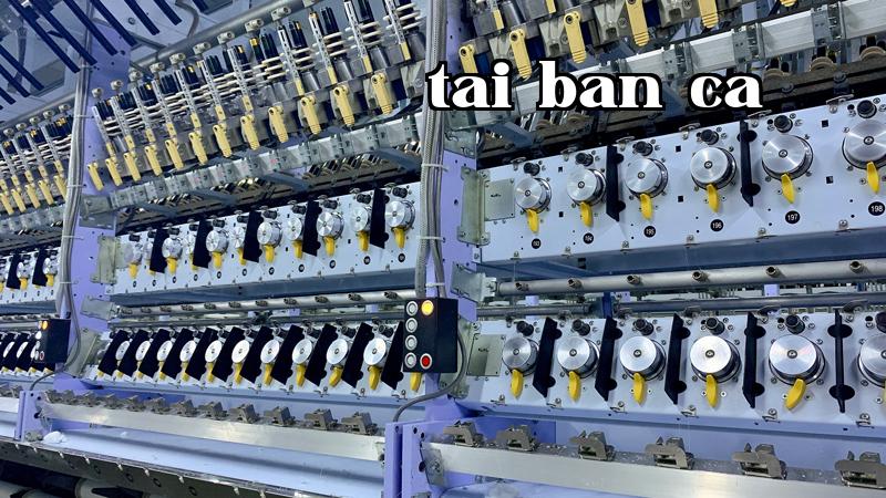 Máy dãn sợi BAMARG-13