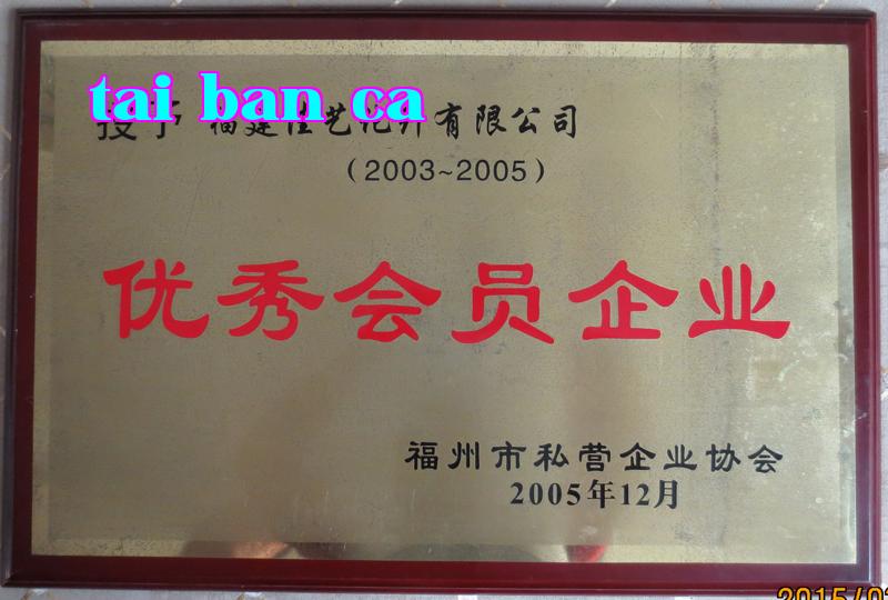 Danh hiệu 18
