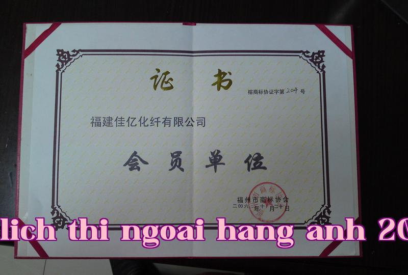 Danh hiệu 33