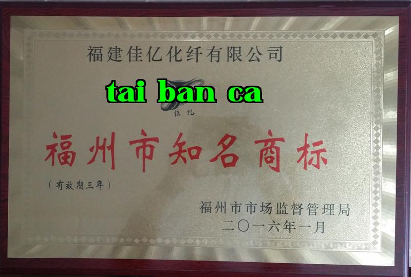Danh hiệu 4