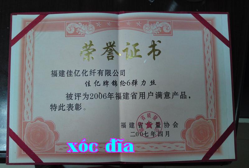 Danh hiệu 31