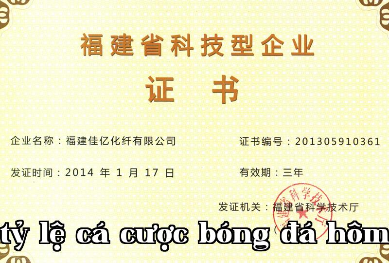 Danh hiệu 6
