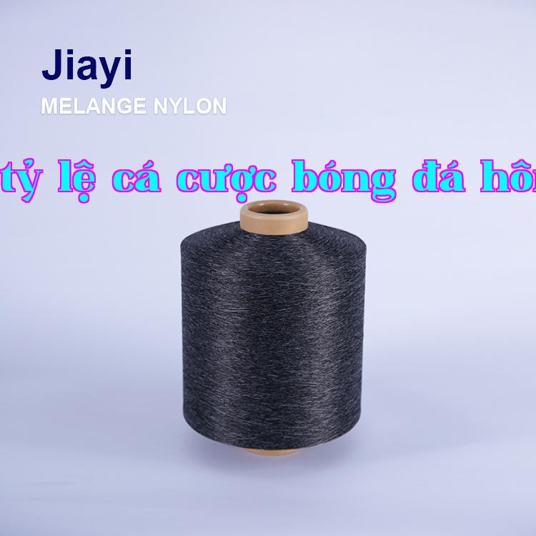 Sợi DTY nylon pha màu