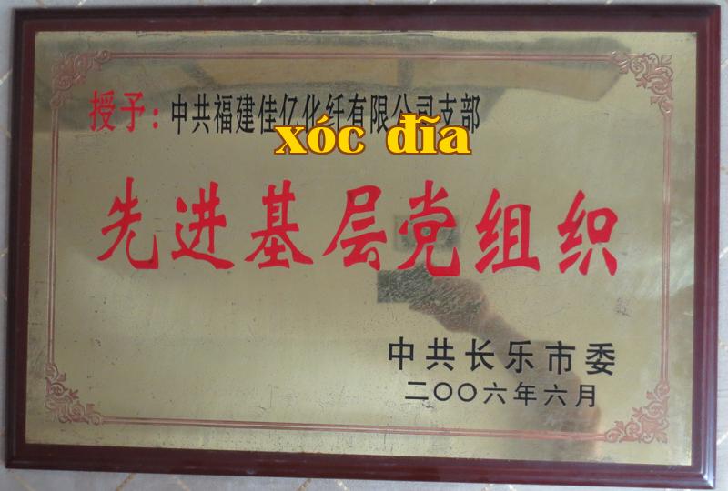 Danh hiệu 19