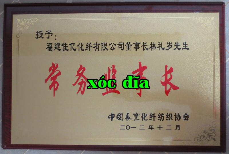 Danh hiệu 21
